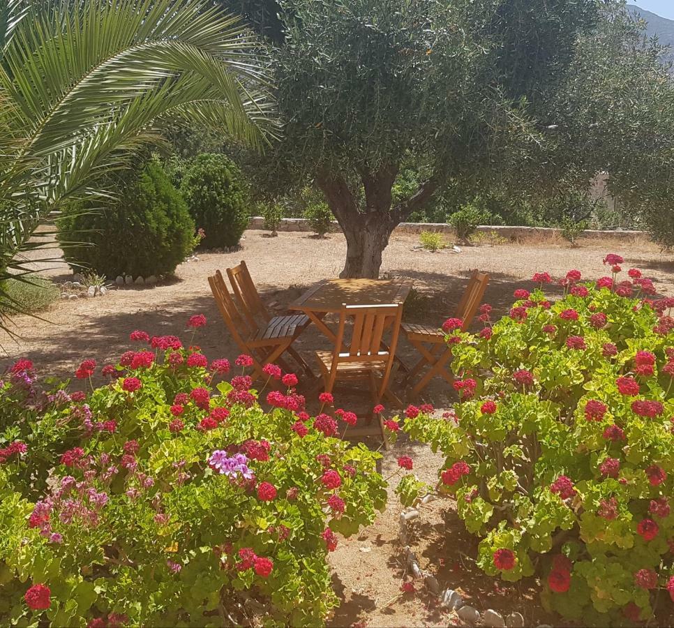 Livadia  Tilos Fantasy מראה חיצוני תמונה